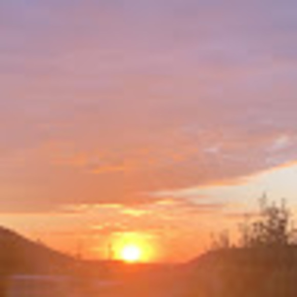 Meet your Posher, Madison - Picture 1 of 1